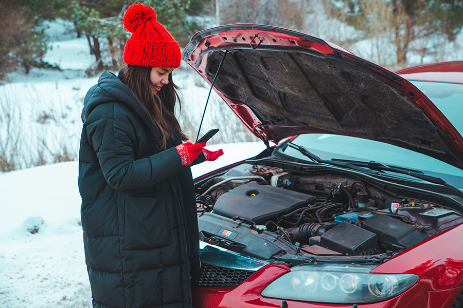 Protect Your Car from the Winter Blues