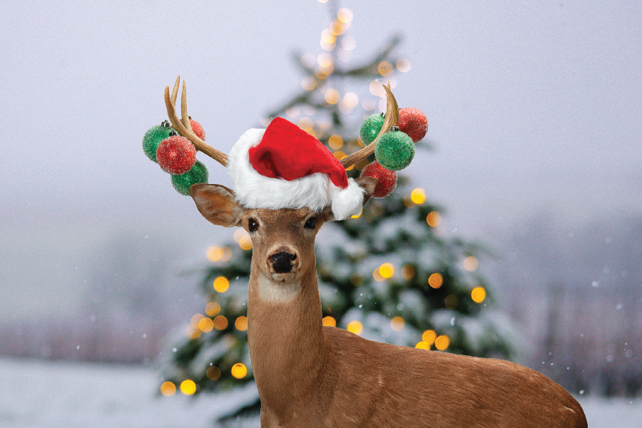 O'Deer Christmas Is Near!